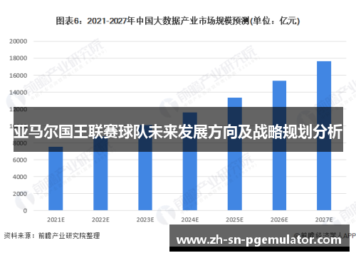 亚马尔国王联赛球队未来发展方向及战略规划分析