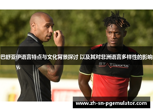 巴舒亚伊语言特点与文化背景探讨 以及其对非洲语言多样性的影响 巴舒亚伊语言特点与文化背景探讨 以及其对非洲语言多样性的影响