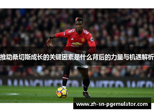 推动桑切斯成长的关键因素是什么背后的力量与机遇解析 推动桑切斯成长的关键因素是什么背后的力量与机遇解析
