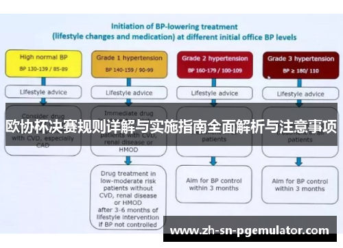 欧协杯决赛规则详解与实施指南全面解析与注意事项