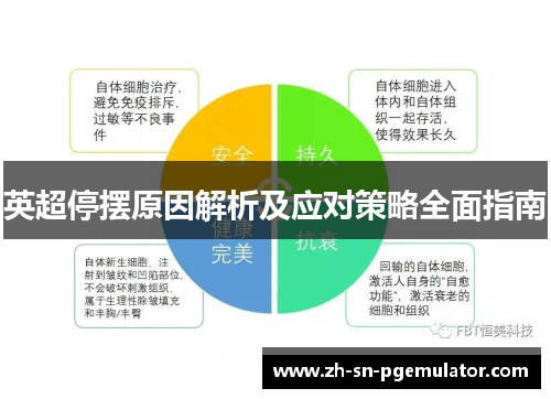 英超停摆原因解析及应对策略全面指南