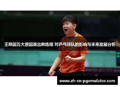 王皓因五大原因退出教练组 对乒乓球队的影响与未来发展分析