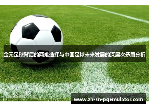 金元足球背后的两难选择与中国足球未来发展的深层次矛盾分析 金元足球背后的两难选择与中国足球未来发展的深层次矛盾分析