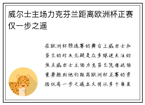 威尔士主场力克芬兰距离欧洲杯正赛仅一步之遥