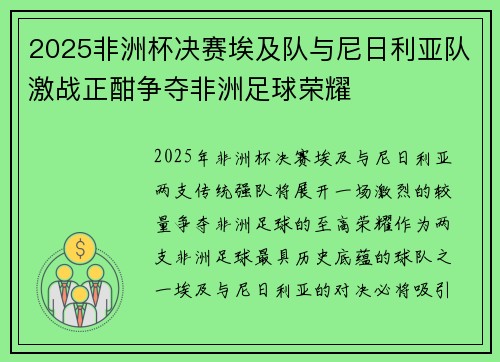 2025非洲杯决赛埃及队与尼日利亚队激战正酣争夺非洲足球荣耀